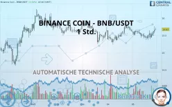 BINANCE COIN - BNB/USDT - 1 Std.