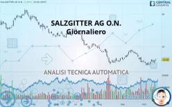 SALZGITTER AG O.N. - Täglich