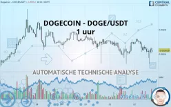 DOGECOIN - DOGE/USDT - 1 uur