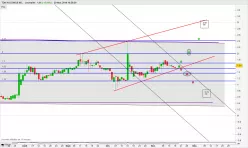 TDH HOLDINGS INC. - Journalier