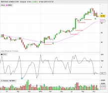 MERITAGE HOMES CORP. - Semanal