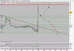 IMMUPHARMA ORD 1P - Journalier