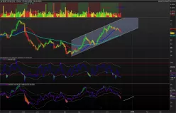 BASF SE NA O.N. - Diario