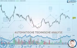 HERTZ GLOBAL HOLDINGS INC - Dagelijks