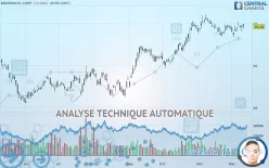 BRUNSWICK CORP. - Journalier