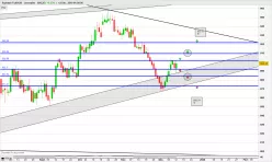 SOYBEAN - Daily