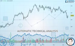 WDP - Daily