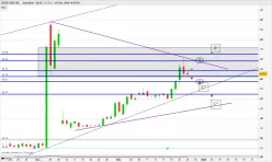 NEXTCURE INC. - Diario