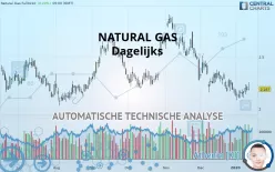 NATURAL GAS - Dagelijks