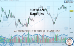 SOYBEAN - Dagelijks