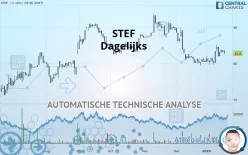 STEF - Dagelijks