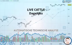 LIVE CATTLE - Dagelijks