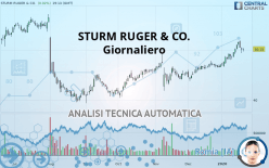 STURM RUGER & CO. - Journalier