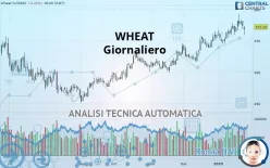 WHEAT - Giornaliero