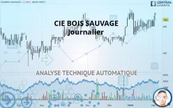 CIE BOIS SAUVAGE - Journalier