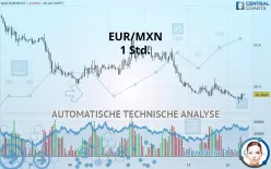 EUR/MXN - 1 Std.