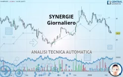 SYNERGIE - Giornaliero