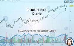 ROUGH RICE - Diario