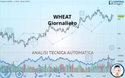 WHEAT - Giornaliero