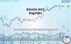 ROUGH RICE - Dagelijks