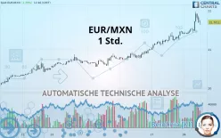 EUR/MXN - 1 Std.