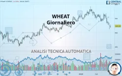 WHEAT - Giornaliero