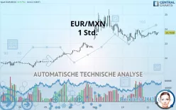 EUR/MXN - 1 Std.