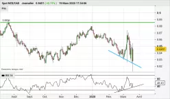 NZD/CAD - Daily