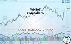 WHEAT - Giornaliero