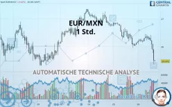 EUR/MXN - 1 Std.