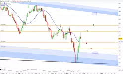 SOYBEAN - Diario