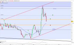 SOYBEAN MEAL FULL1224 - Journalier