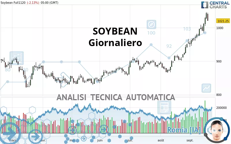 SOYBEAN - Daily