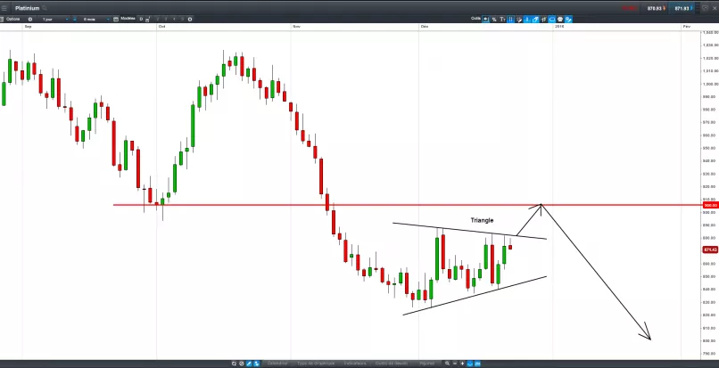 PLATINUM - Journalier