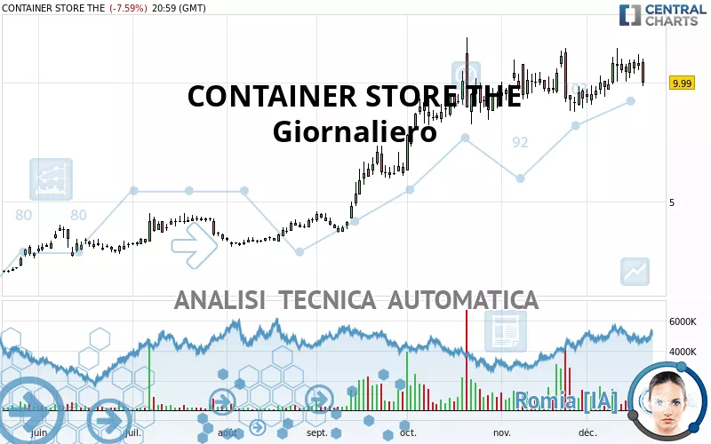 CONTAINER STORE THE - Giornaliero