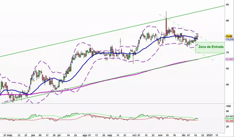 NEXTERA ENERGY INC. - Daily