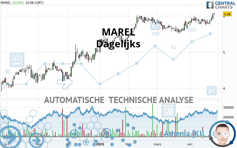 MAREL - Giornaliero