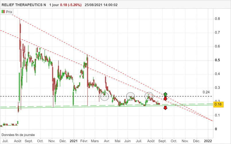 RELIEF THERAPEUTICS N - Journalier