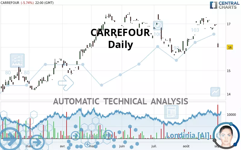 CARREFOUR - Daily