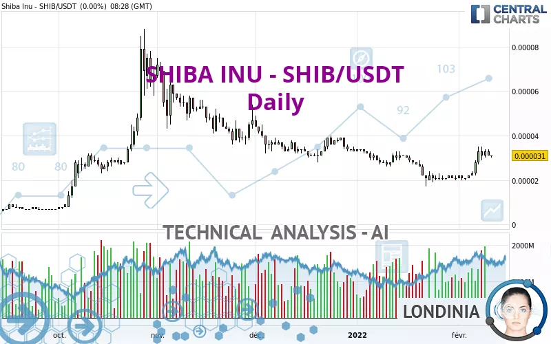 SHIBA INU - SHIB/USDT - Giornaliero