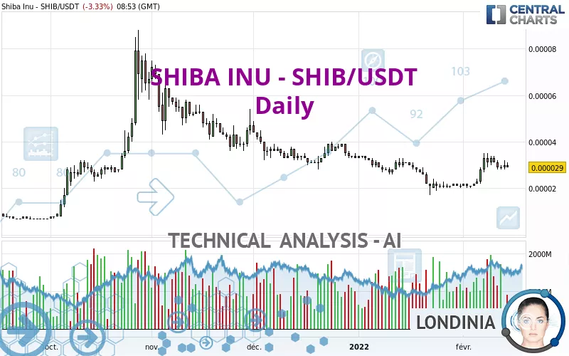 SHIBA INU - SHIB/USDT - Daily