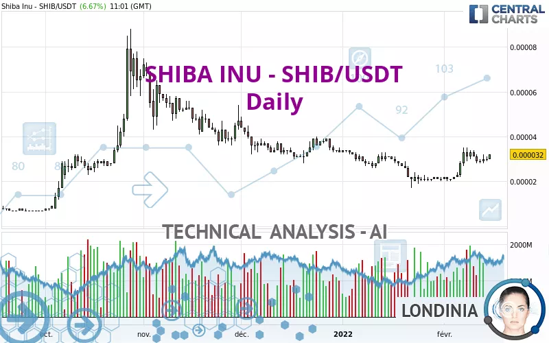 SHIBA INU - SHIB/USDT - Dagelijks