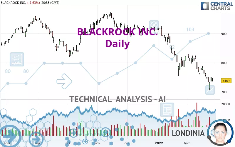 BLACKROCK INC. - Daily