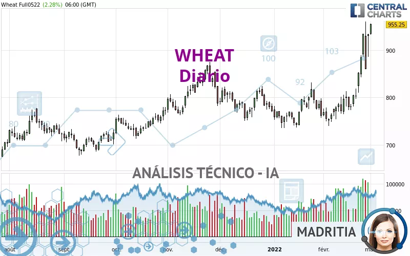 WHEAT - Dagelijks