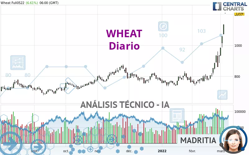 WHEAT - Diario