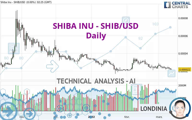 SHIBA INU - SHIB/USD - Journalier