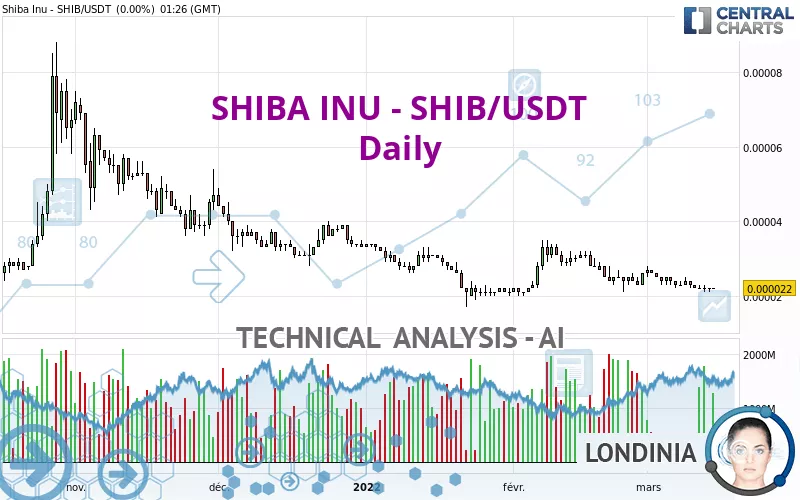 SHIBA INU - SHIB/USDT - Journalier