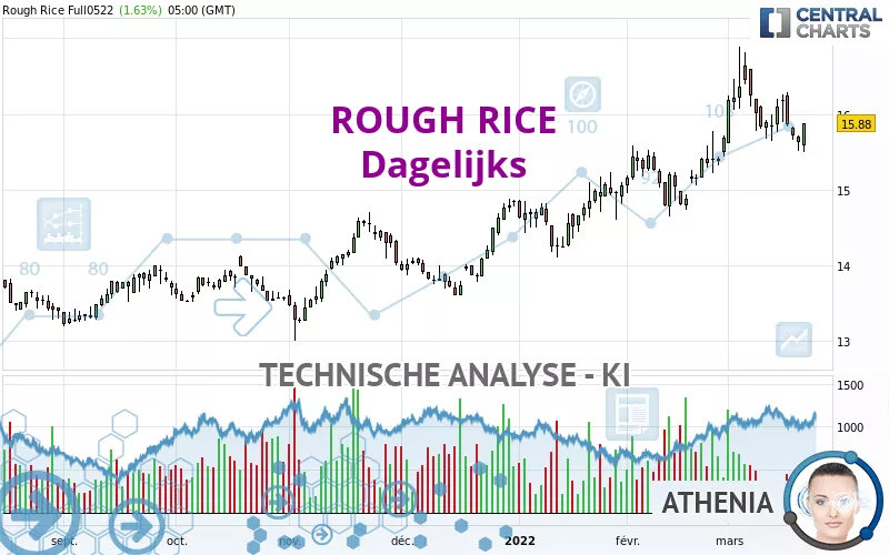 ROUGH RICE - Dagelijks