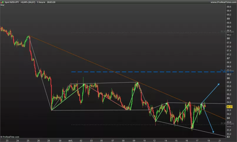 NZD/JPY - 1 Std.