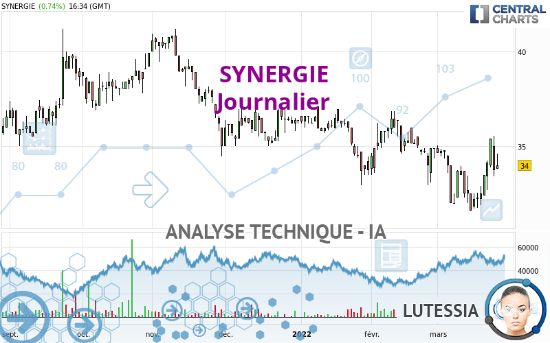 SYNERGIE - Dagelijks